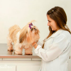 clinica veterinaria - É o Bicho Kamila